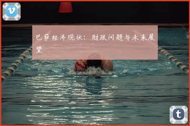 巴萨经济现状：财政问题与未来展望